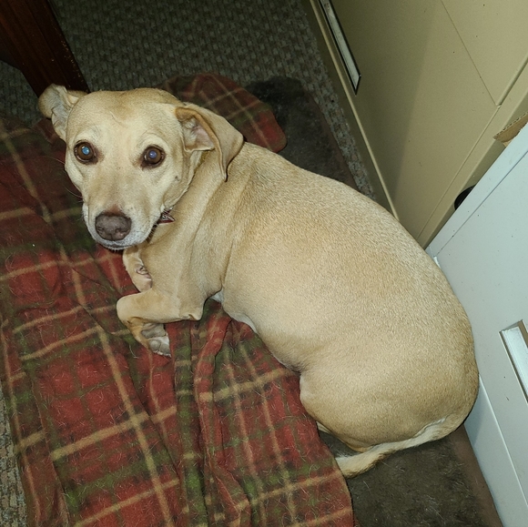 Meet your Posher, Dorothy - Picture 12 of 12